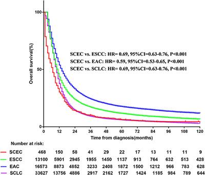 A Comparative Analysis of the Gene Expression Profiles of Small Cell Esophageal Carcinoma, Small Cell Lung Cancer, and Esophageal Adeno/Squamous Carcinoma